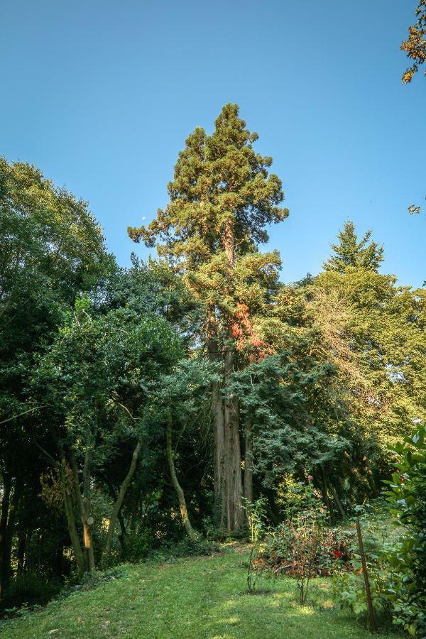 Le Clos D'Abrigeon Aubenas Zewnętrze zdjęcie